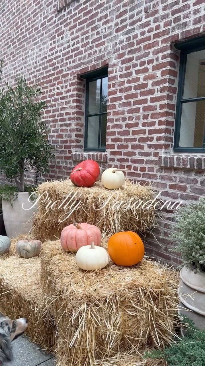 Introducing Pretty Pasadena 🌹 

I’ve collected way too many photos and videos of my neighborhood and I needed a way to share the little moments that make living in Pasadena so special. 

From charming storefronts and tree-lined streets to corner cafes that have become my little creative hideaways. 

Pretty Pasadena is my love letter to this city. 💌

It’s about finding beauty in the everyday, celebrating the community that gives Pasadena its soul and sharing inspiration from spaces that make me slow down and look closer. 

If you’ve ever wondered what’s it’s like to live, work and create here, then this is for you. ✨

Let’s explore my neighborhood together 🌹

#prettypasadena #pasadenaca #pasadena