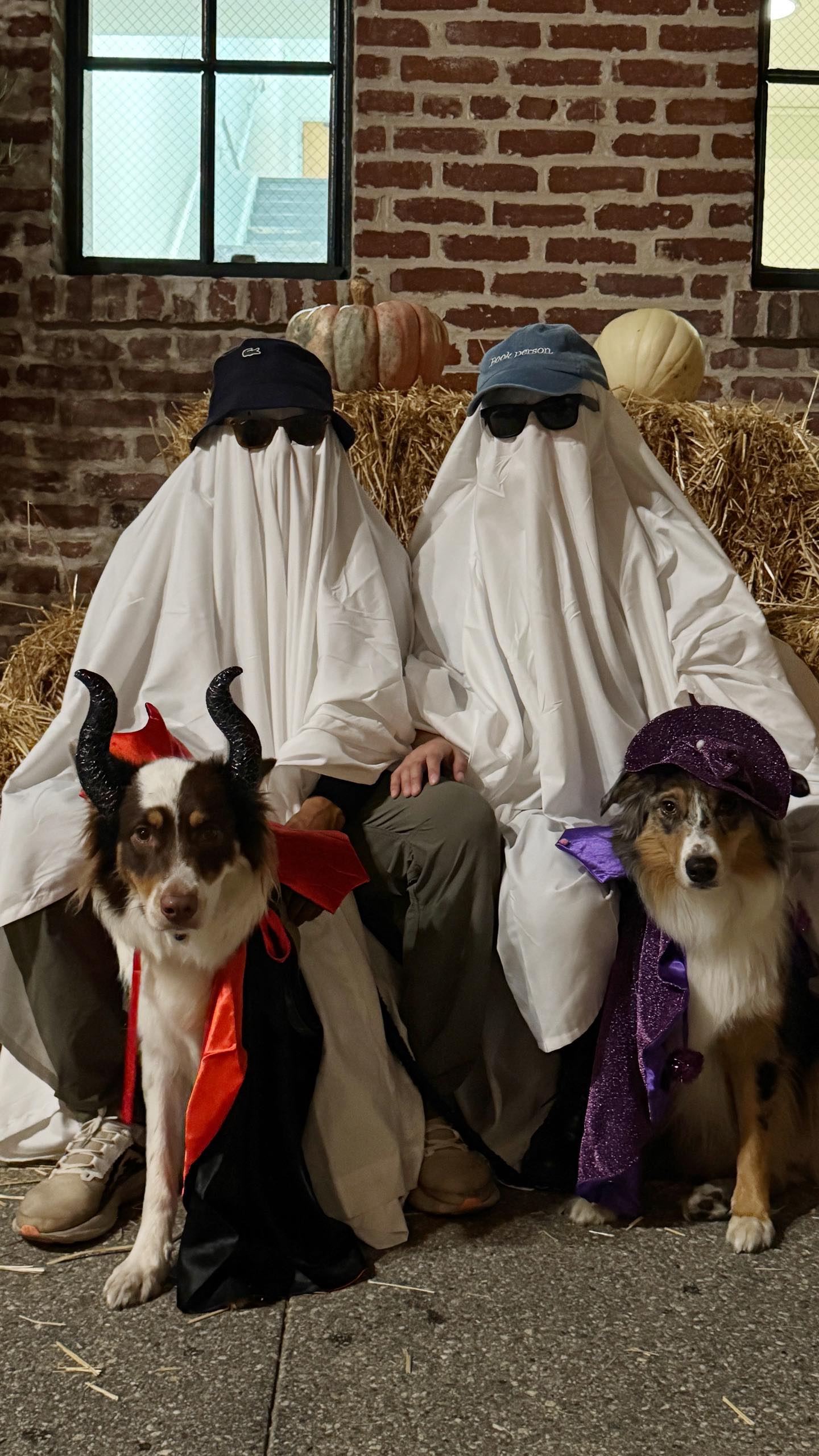 Happy Halloween witches! 👻🎃