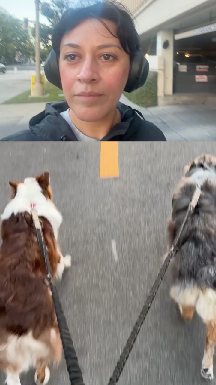 Come with me as I walk Luna and Bella in Pasadena. Hope you enjoy this little pocket of our day and what it's like to go on a walk with the pretty girl gang gang. 🐾👅

#pasadenaca #prettypasadena #doglife
