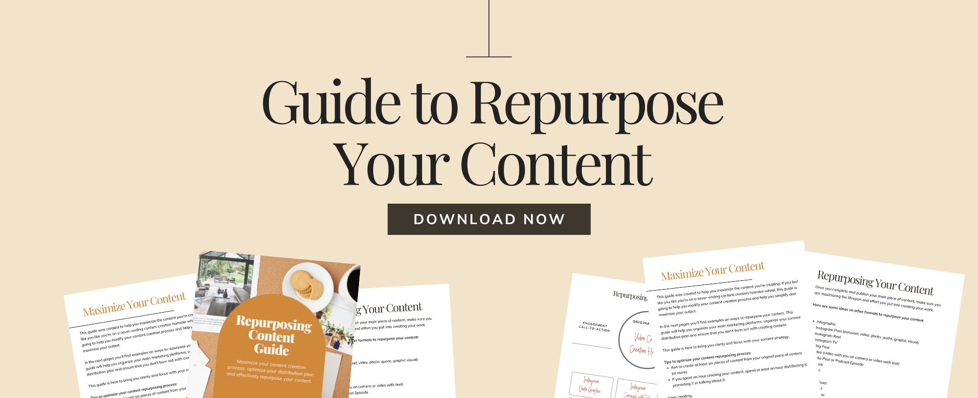 If you aren’t quite sure how to repurpose your content and how to maximize your channel distribution strategy, download my free guide.